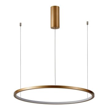 Italux Vinola PND-56135B-100RPP-GD-3KS4K-TRDIMM Hanglamp 1x58W/LED 3000K|4000K 4640lm IP20