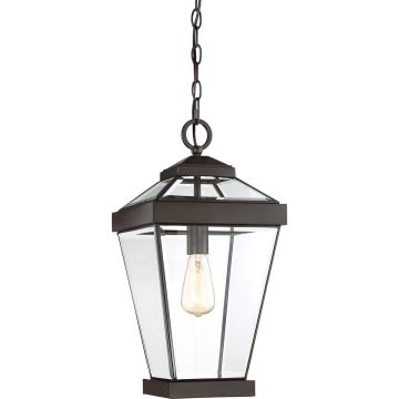 Quoizel RAVINE QZ-RAVINE8-L Hanglamp 1x60W/E27 IP44