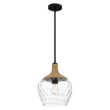 Quoizel Royer QZ-ROYER-1P-MBK Hanglamp 1x60W/E27 IP20
