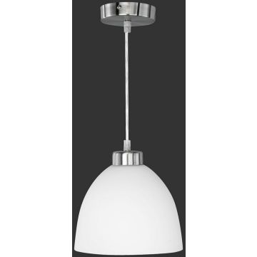 Trio DALLAS R32171007 Hanglamp 1x60w/e27 ip20