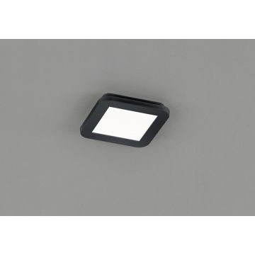 Trio CAMILLUS R62931032 Plafondlamp 1x10w/led 3000k 850lm ip44