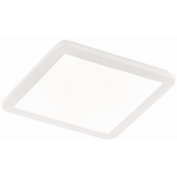 Trio CAMILLUS R62931801 LED-paneel 1x18w/led 3000k 1650lm ip44
