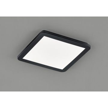 Trio CAMILLUS R62931832 Plafondlamp 1x18w/led 3000k 1650lm ip44