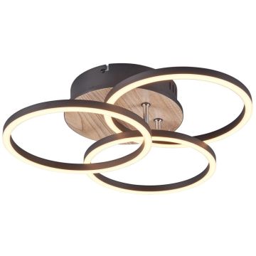 Trio CIRCLE R62823135 Plafondlamp 1x27w/led 2700-6000K 3200lm ip20