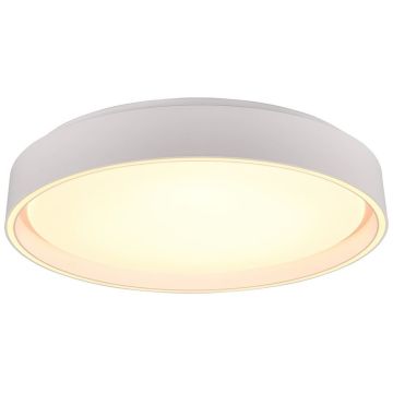 Trio FELIS R64391031 Plafondlamp 1x24w/led 2700-6500K 2500lm ip20