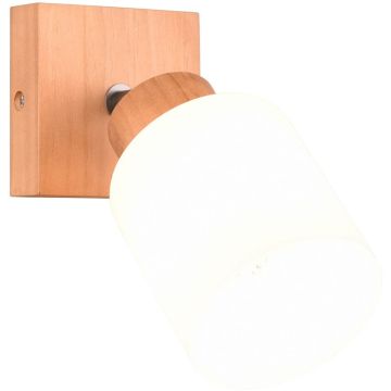 Trio ASSAM R81111030 Wandlamp 1x25w/e14 ip20
