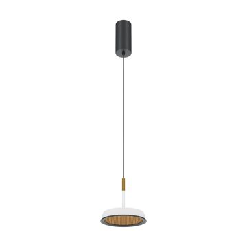 Maytoni El MOD041PL-L15WG3K Hanglamp 1x12W/LED 3000K 800lm IP20