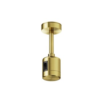Maytoni Flarity TRA156C-IPC1-BS Ophanging IP20