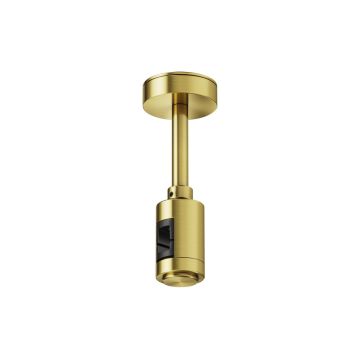 Maytoni Flarity TRA156C-S1-BS Ophanging