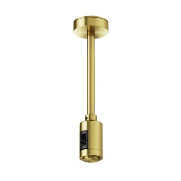 Maytoni Flarity TRA156C-SL1-BS Ophanging