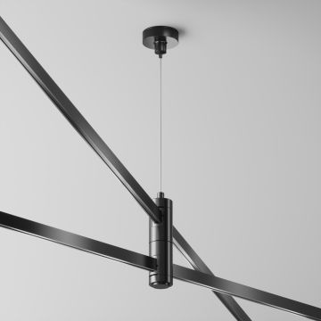 Maytoni Flarity TRA157SW-D1-B Ophanging IP20