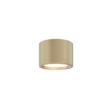 Maytoni Hydra C090CL-10W3K-MG Opbouwspot 1x10W/LED 3000K 650lm IP44