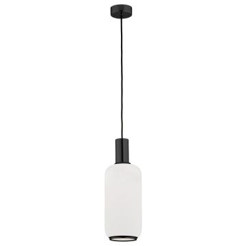 Argon SAGUNTO 8563 Hanglamp 1x15W/E27 IP20