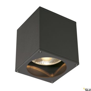 SLV THEO 229555 Plafondlamp 1x75W/GU10/ES111 IP44