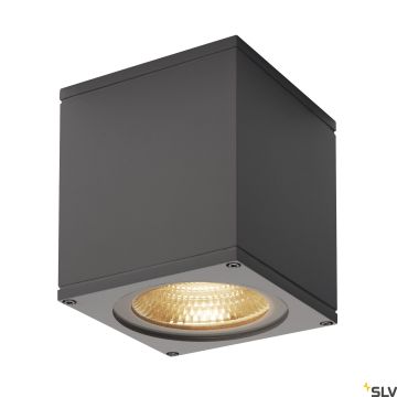 SLV THEO 234535 Plafondlamp 1x21W/LED 3000K 2000LM IP44