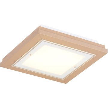 Argon TABOR 1866 Plafondlamp 4x15W/E27 ip20