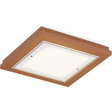 Argon TABOR 1872 Plafondlamp 4x15W/E27 ip20