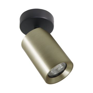 Zuma Line TORE TLS006-GLD Spot 1x35W/GU10 IP20