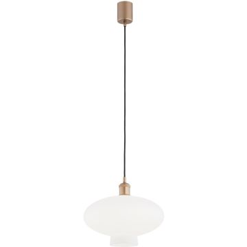 Argon TRESCO 8980 Hanglamp 1x15W/E27 ip20