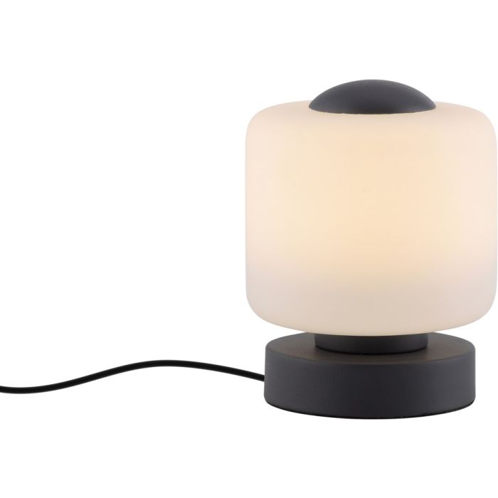Paul Neuhaus-BOTA-4037-13-PLN4037-13