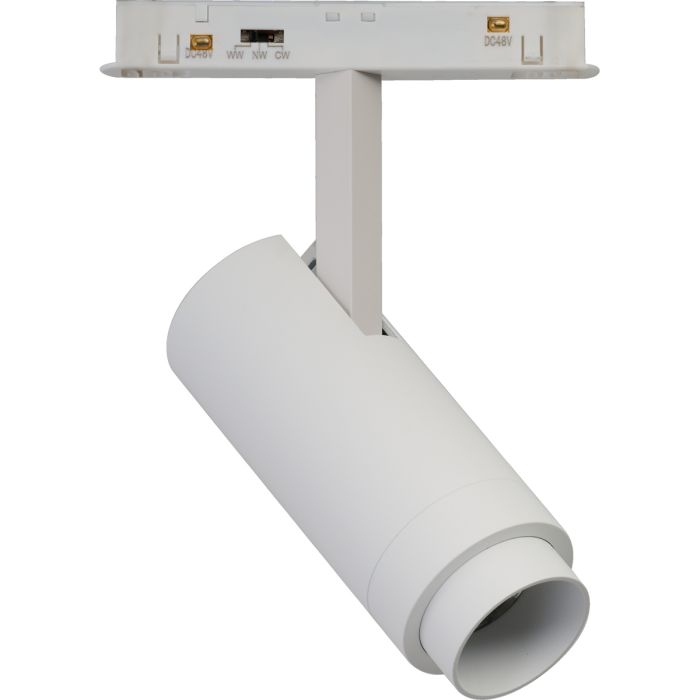 AZzardo-ALFA OPTICA Magnetic-AZ6517-AZZAZ6517