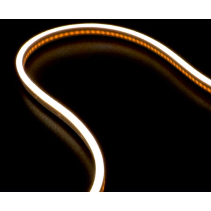 Zambelis-NEON-LS08-ZAMLS08
